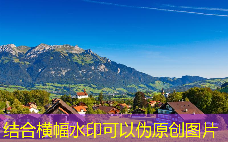 办公室能放乒乓球台吗