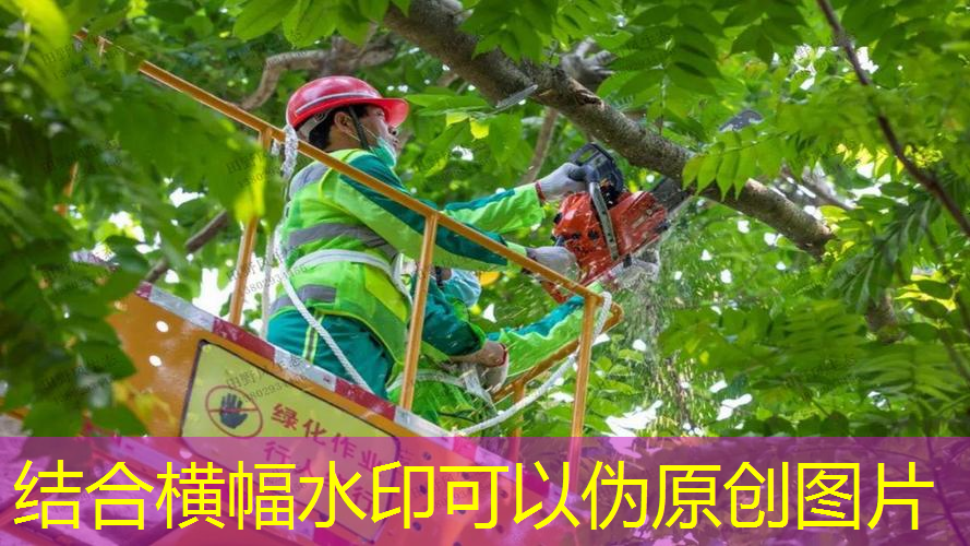 江南·体育官方网站登录，威尔士网球拍初学装备