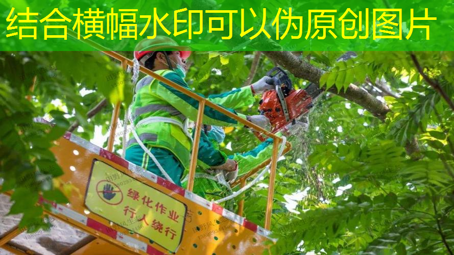<strong>jn江南官方体育，运动器材收纳网球拍怎么用</strong>