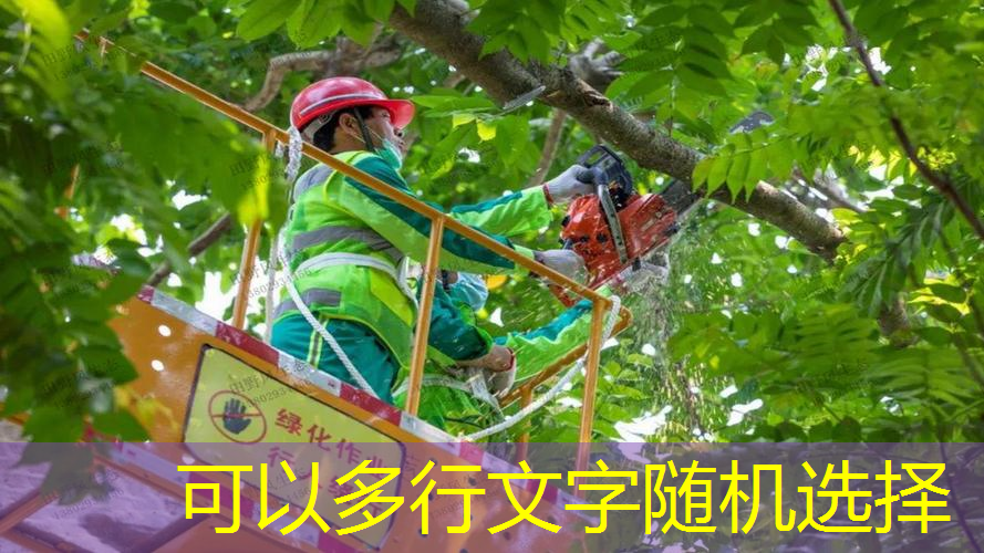 <strong>jn江南官方体育，乒乓球台多长宽</strong>