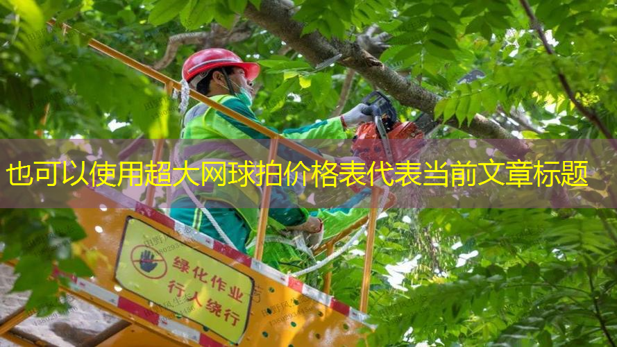 超大网球拍价格表