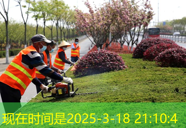网球拍蓝拍穿黄线