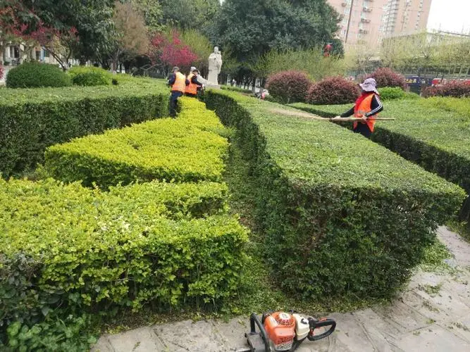 网球拍头滞后训练方法图解