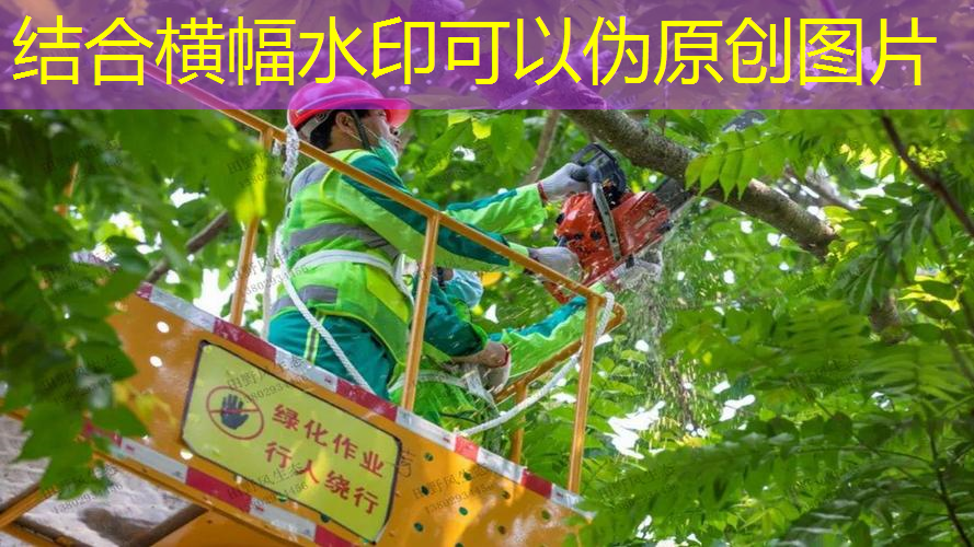 被网球拍肿怎么办