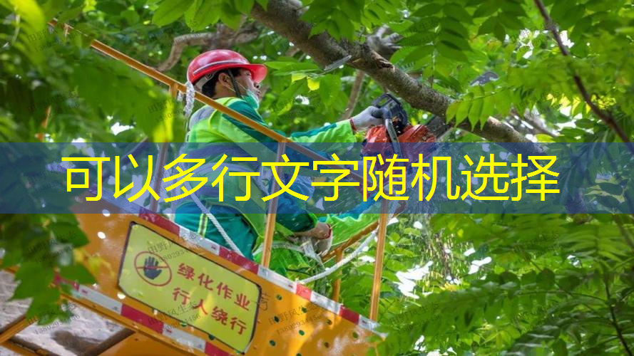 邓禄普钻石系列网球拍