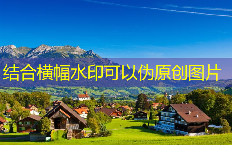 网球拍重量越重价格越贵嘛