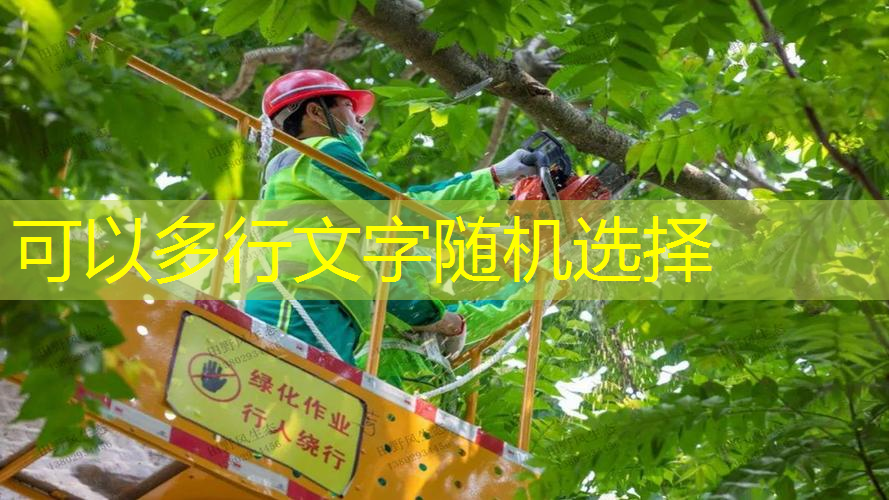 连绳网球拍的玩法有哪些