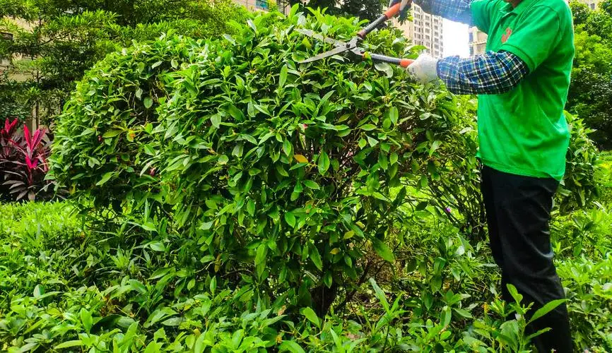 新手网球拍面大小多少合适