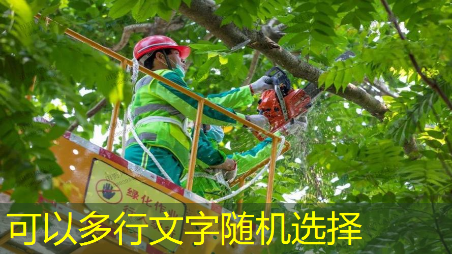 室内穿的健身外套叫啥名字