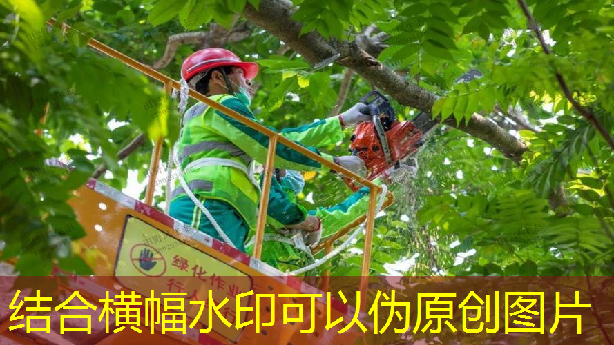 小说健身房女更衣室内