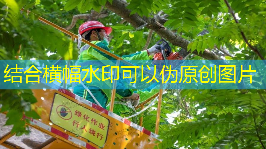 乒乓球台多长宽