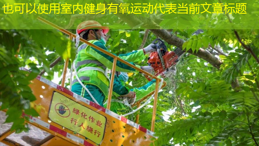 室内健身有氧运动